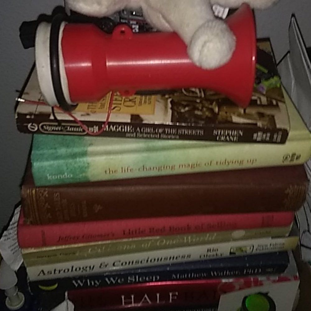 Books - Picture 2 of 3